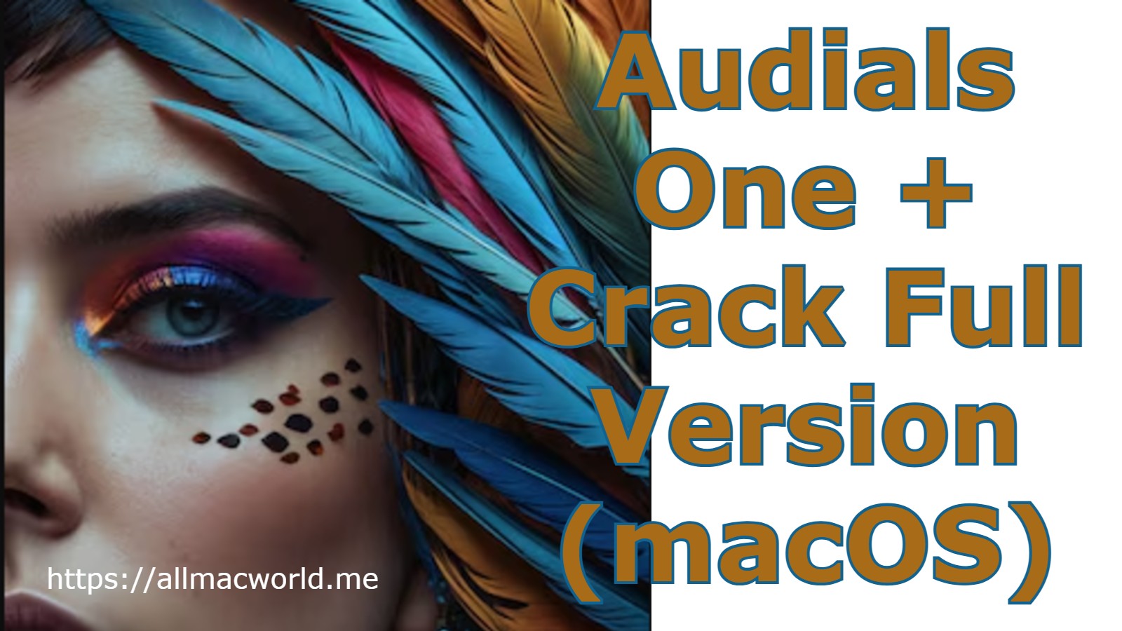 Audials One 2025 Ultra Crack