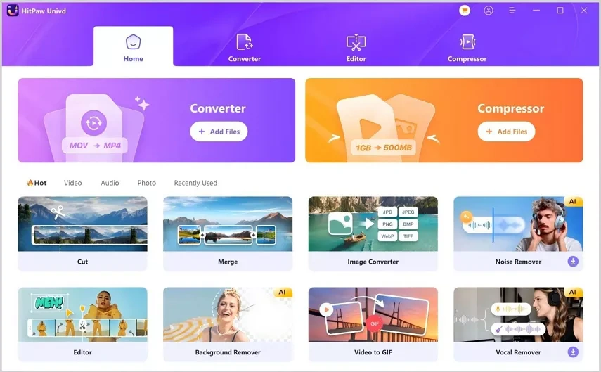 HitPaw Video Converter Crack